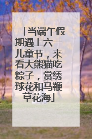当端午假期遇上六一儿童节，来看大熊猫吃粽子，赏绣球花和马鞭草花海