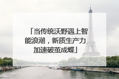 当传统沃野遇上智能浪潮，新质生产力加速破茧成蝶