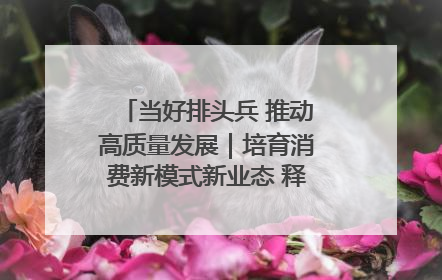 当好排头兵 推动高质量发展｜培育消费新模式新业态 释放经济增长新动能