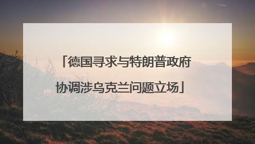 德国寻求与特朗普政府协调涉乌克兰问题立场