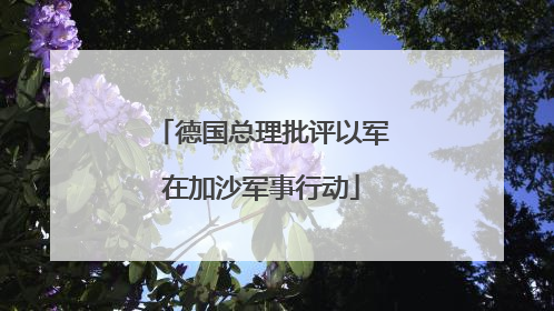 德国总理批评以军在加沙军事行动