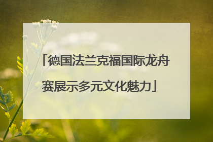 德国法兰克福国际龙舟赛展示多元文化魅力
