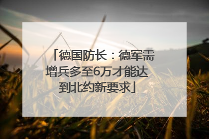 德国防长：德军需增兵多至6万才能达到北约新要求