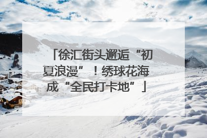徐汇街头邂逅“初夏浪漫”！绣球花海成“全民打卡地”