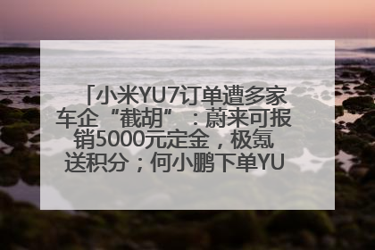 小米YU7订单遭多家车企“截胡”：蔚来可报销5000元定金，极氪送积分；何小鹏下单YU7，喊话雷军早点交付