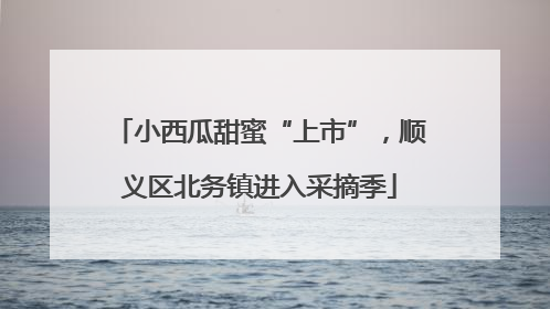 小西瓜甜蜜“上市”，顺义区北务镇进入采摘季