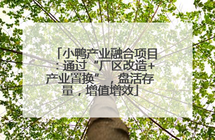 小鸭产业融合项目：通过“厂区改造+产业置换”，盘活存量，增值增效