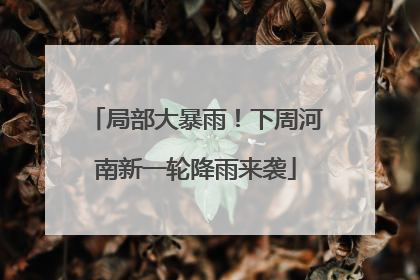 局部大暴雨！下周河南新一轮降雨来袭