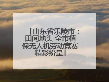 山东省乐陵市：田间地头 全市植保无人机劳动竞赛精彩纷呈