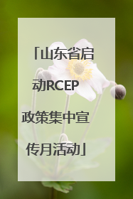 山东省启动RCEP政策集中宣传月活动