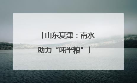 山东夏津：南水助力“吨半粮”