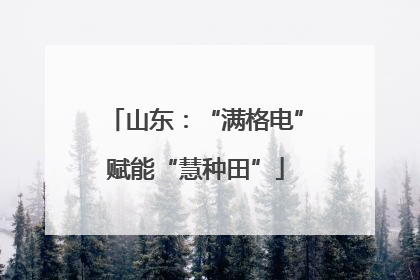 山东：“满格电”赋能“慧种田”