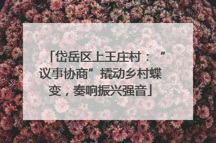 岱岳区上王庄村：“议事协商”撬动乡村蝶变，奏响振兴强音