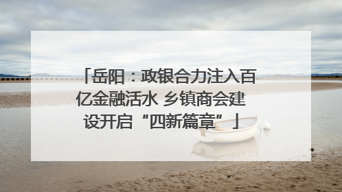岳阳：政银合力注入百亿金融活水 乡镇商会建设开启“四新篇章”