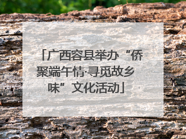 广西容县举办“侨聚端午情·寻觅故乡味”文化活动