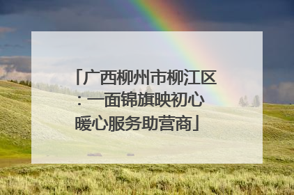 广西柳州市柳江区：一面锦旗映初心 暖心服务助营商