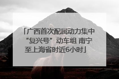 广西首次配属动力集中“复兴号”动车组 南宁至上海省时近6小时