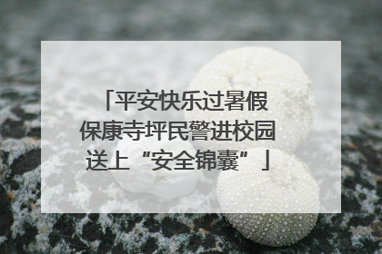 平安快乐过暑假 保康寺坪民警进校园送上“安全锦囊”
