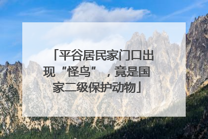 平谷居民家门口出现“怪鸟”，竟是国家二级保护动物