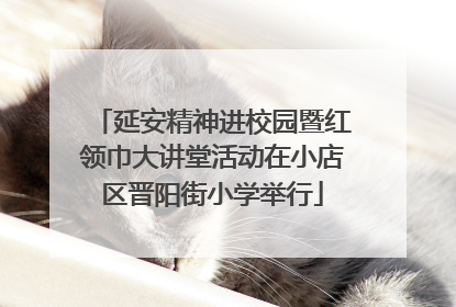 延安精神进校园暨红领巾大讲堂活动在小店区晋阳街小学举行