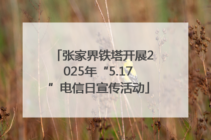 张家界铁塔开展2025年“5.17”电信日宣传活动