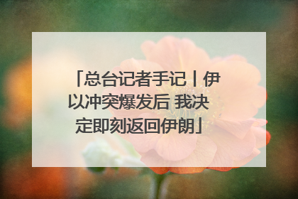 总台记者手记丨伊以冲突爆发后 我决定即刻返回伊朗