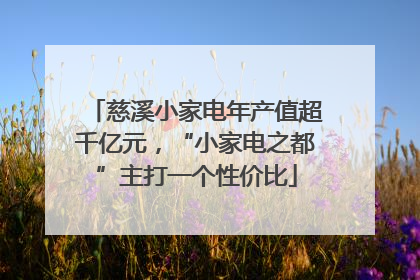 慈溪小家电年产值超千亿元，“小家电之都”主打一个性价比