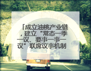 成立油桃产业链，建立“常态一季一议、要事一事一议”联席议事机制，山东省日照市莒县果庄镇——13个党小组“全周期”育果