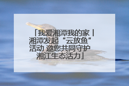 我爱湘潭我的家丨湘潭发起“云放鱼”活动 邀您共同守护湘江生态活力