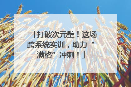 打破次元壁！这场跨系统实训，助力“满格”冲刺！