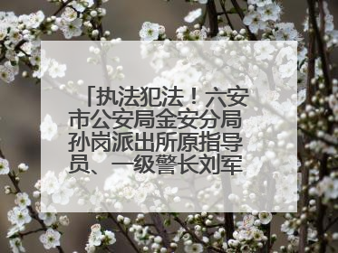 执法犯法！六安市公安局金安分局孙岗派出所原指导员、一级警长刘军被“双开”
