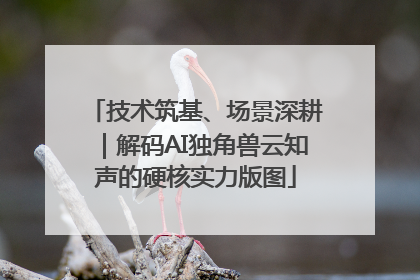 技术筑基、场景深耕｜解码AI独角兽云知声的硬核实力版图