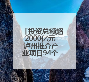 投资总额超2000亿元 泸州推介产业项目94个丨数读西投