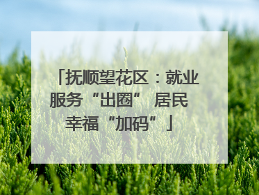 抚顺望花区：就业服务“出圈” 居民幸福“加码”