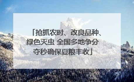 抢抓农时、改良品种、绿色灭虫 全国多地争分夺秒确保夏粮丰收