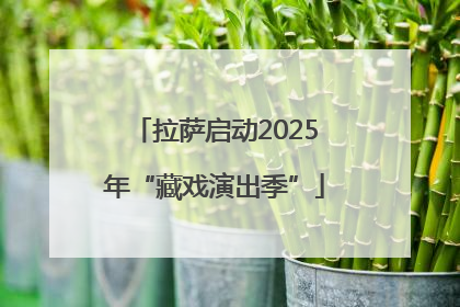 拉萨启动2025年“藏戏演出季”