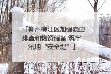 柳州柳江区加强隐患排查和物资储备 筑牢汛期“安全堤”