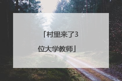 村里来了3位大学教师