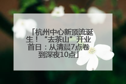 杭州中心新顶流诞生！“去茶山”开业首日：从清晨7点卷到深夜10点