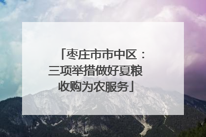 枣庄市市中区：三项举措做好夏粮收购为农服务