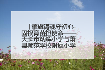 擎旗铸魂守初心 固根育苗担使命——天长市炳辉小学与萧县师范学校附属小学结对共建活动纪实
