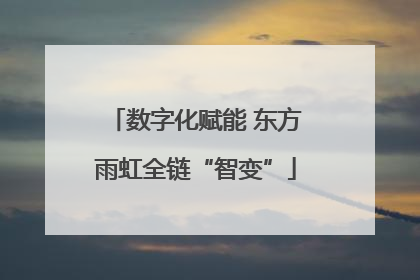 数字化赋能 东方雨虹全链“智变”