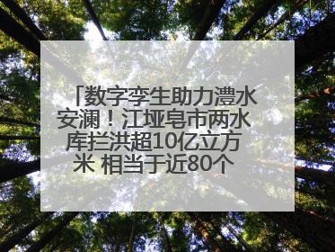 数字孪生助力澧水安澜！江垭皂市两水库拦洪超10亿立方米 相当于近80个西湖水量