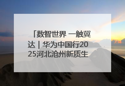 数智世界 一触冀达｜华为中国行2025河北沧州新质生产力峰会成功举办