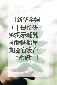 新华全媒+｜最新研究揭示哺乳动物胚胎早期器官发育“密码”