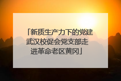 新质生产力下的党建 武汉校促会党支部走进革命老区黄冈