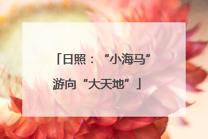日照：“小海马”游向“大天地”