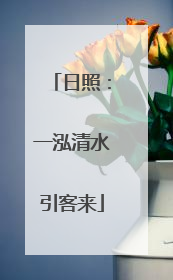 日照：一泓清水引客来