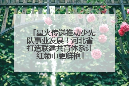星火传递推动少先队事业发展！河北省打造联建共育体系让红领巾更鲜艳