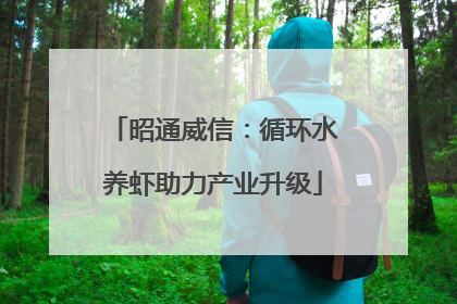 昭通威信：循环水养虾助力产业升级